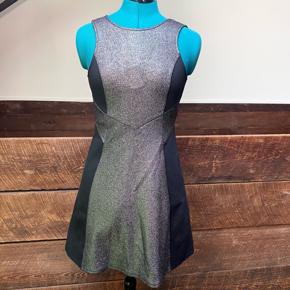 BCBGMaxAzria Joan of Arc Stretchy Skater Dress w/ Metallic Silver “Armor” Panels - Picture 2 of 10